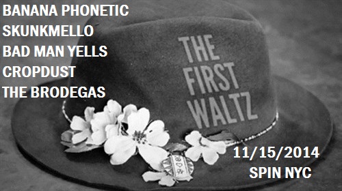 The-First-Waltz-Hard-Working-Americans2